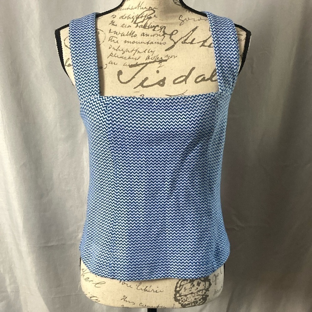 Anthropologie Blue and White Zigzag Top